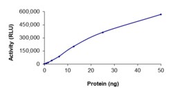 Sino Biological&nbsp;Recombinant Human RET Protein (Y791F, GST Tag), Active